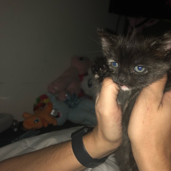 Bea - Picture 3 of 8